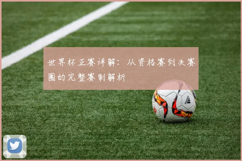 世界杯正赛详解：从资格赛到决赛圈的完整赛制解析