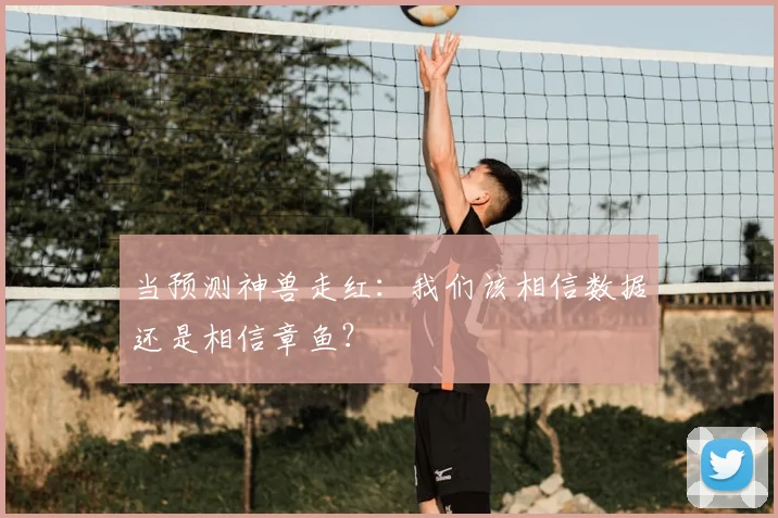 当预测神兽走红：我们该相信数据还是相信章鱼？