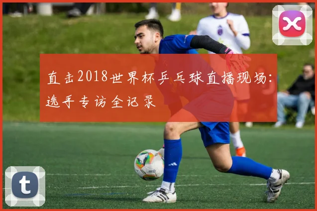直击2018世界杯乒乓球直播现场：选手专访全记录