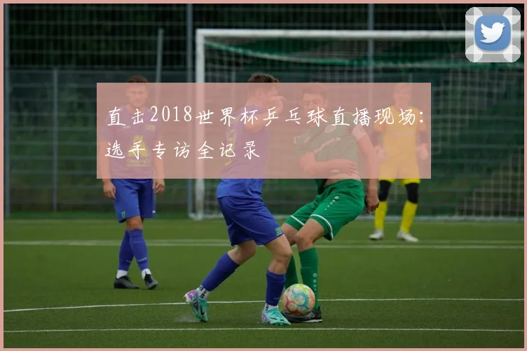 直击2018世界杯乒乓球直播现场：选手专访全记录